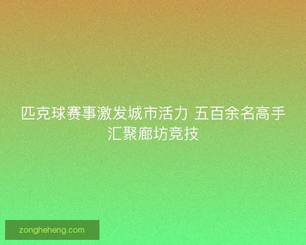 匹克球赛事激发城市活力 五百余名高手汇聚廊坊竞技